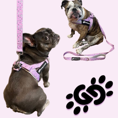 Lilac Paw Love - Double G Dog Gen II Harness - Double G Dog 