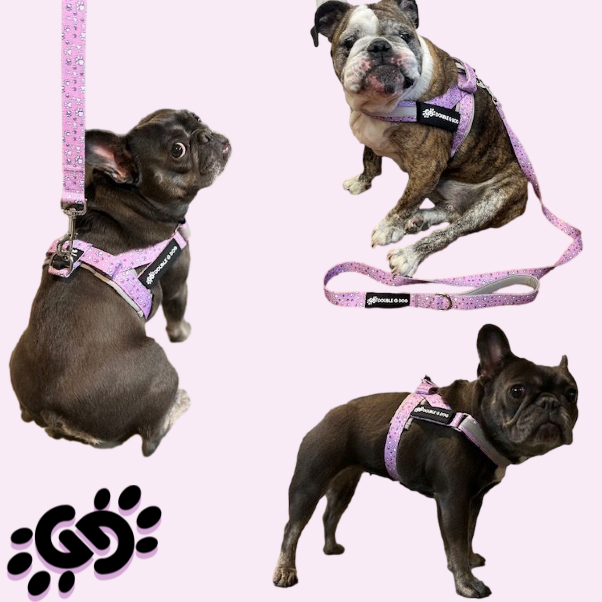 Lilac Paw Love - Double G Dog Gen II Harness - Double G Dog 