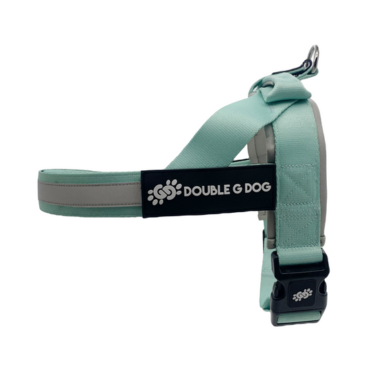 Marvelous Mint - Double G Dog Gen II Harness - Double G Dog 