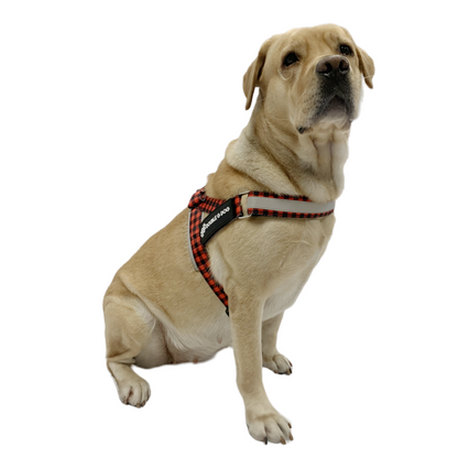 Lumberjack - Double G Dog Gen II Harness - Double G Dog 