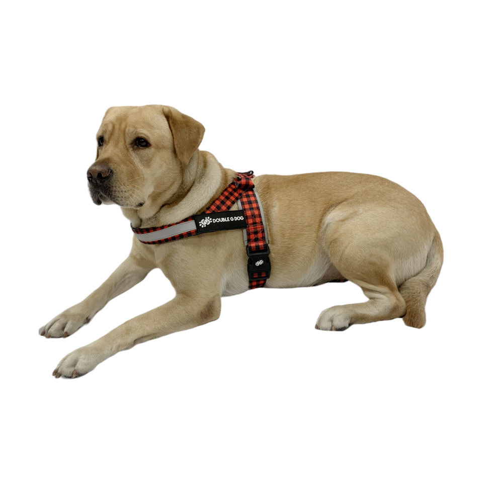 Lumberjack - Double G Dog Gen II Harness - Double G Dog 