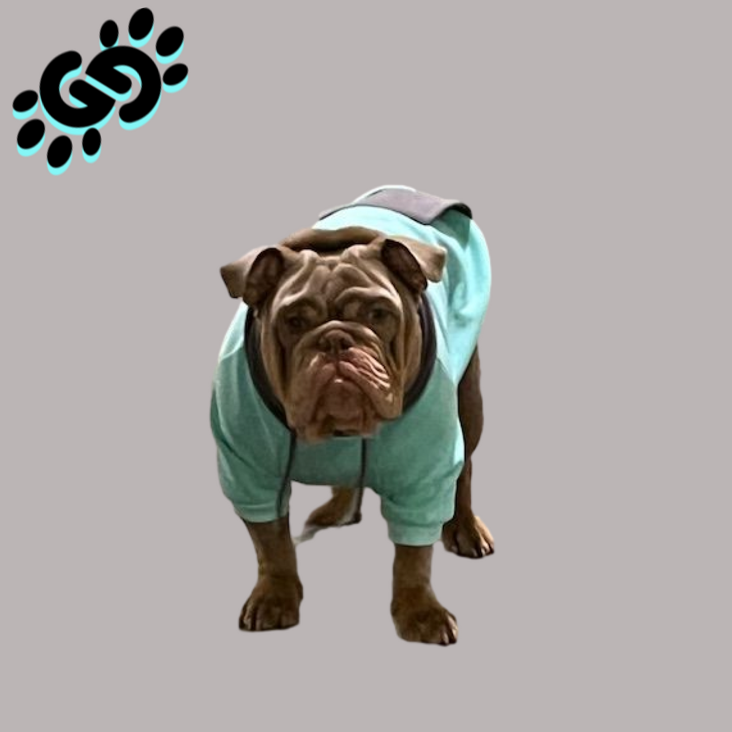 Double G Dog Hoodie