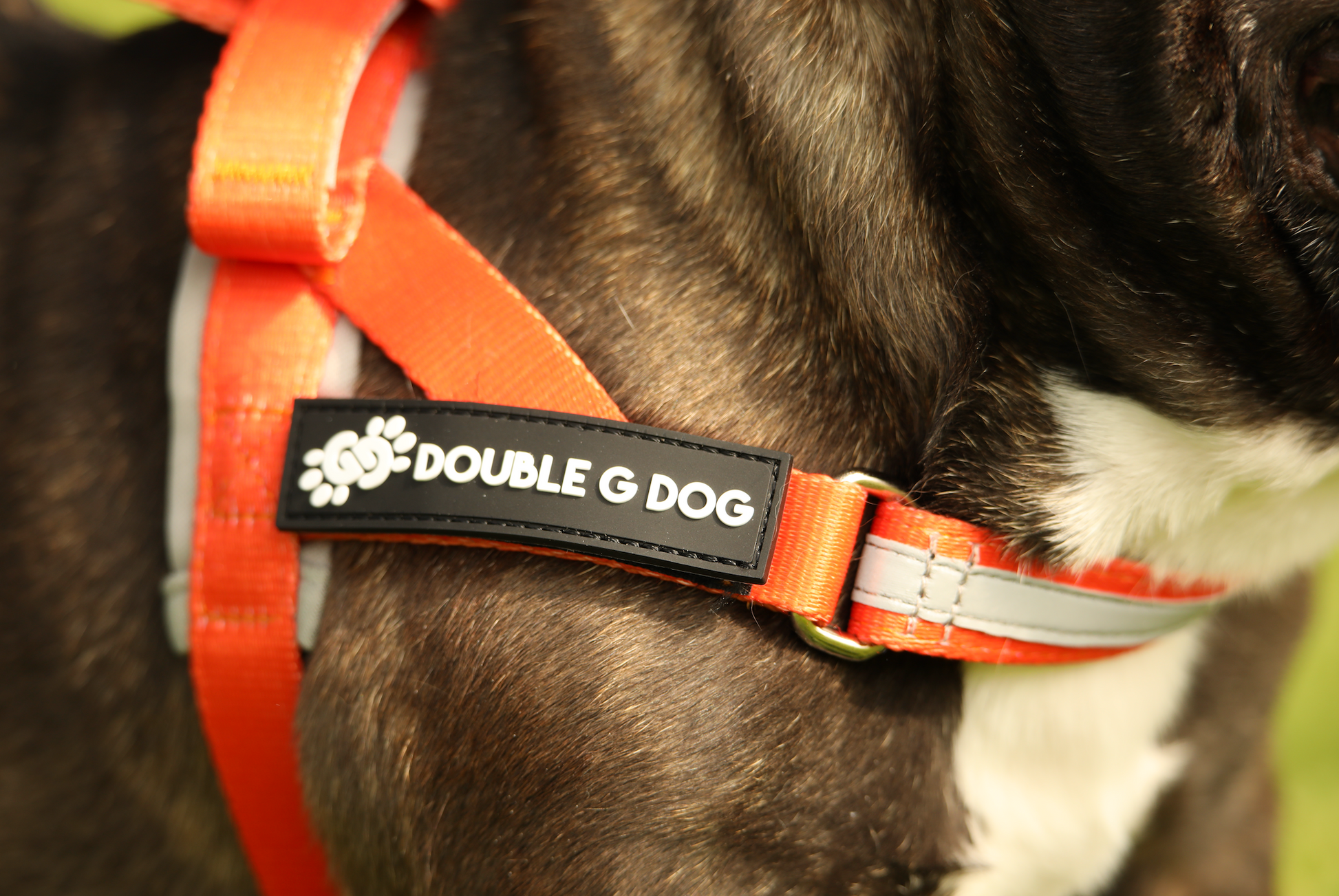 Happy Fall Orange - Double G Dog Gen I Harness - Double G Dog 