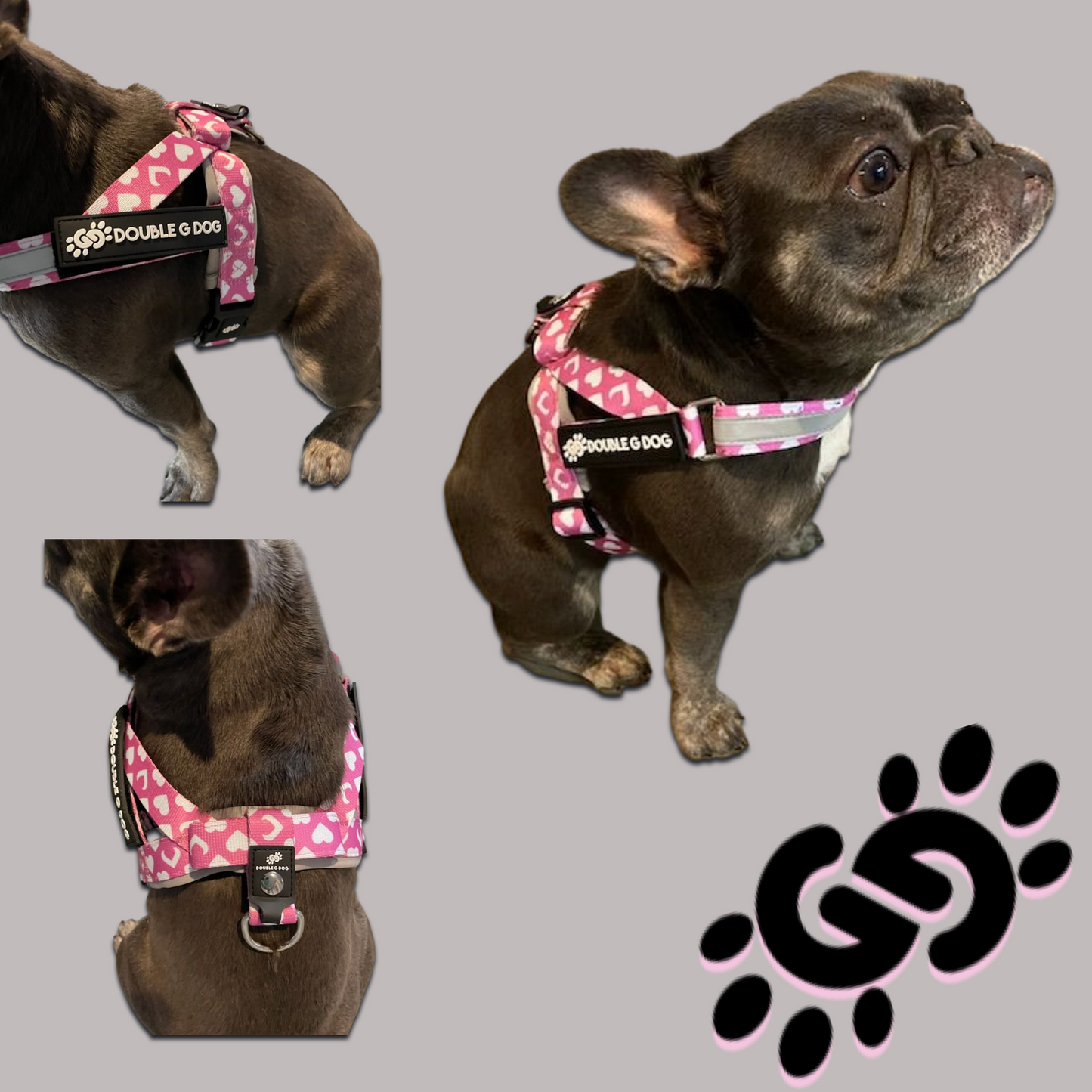 Sweetheart Pink - Double G Dog Gen II Harness - Double G Dog 