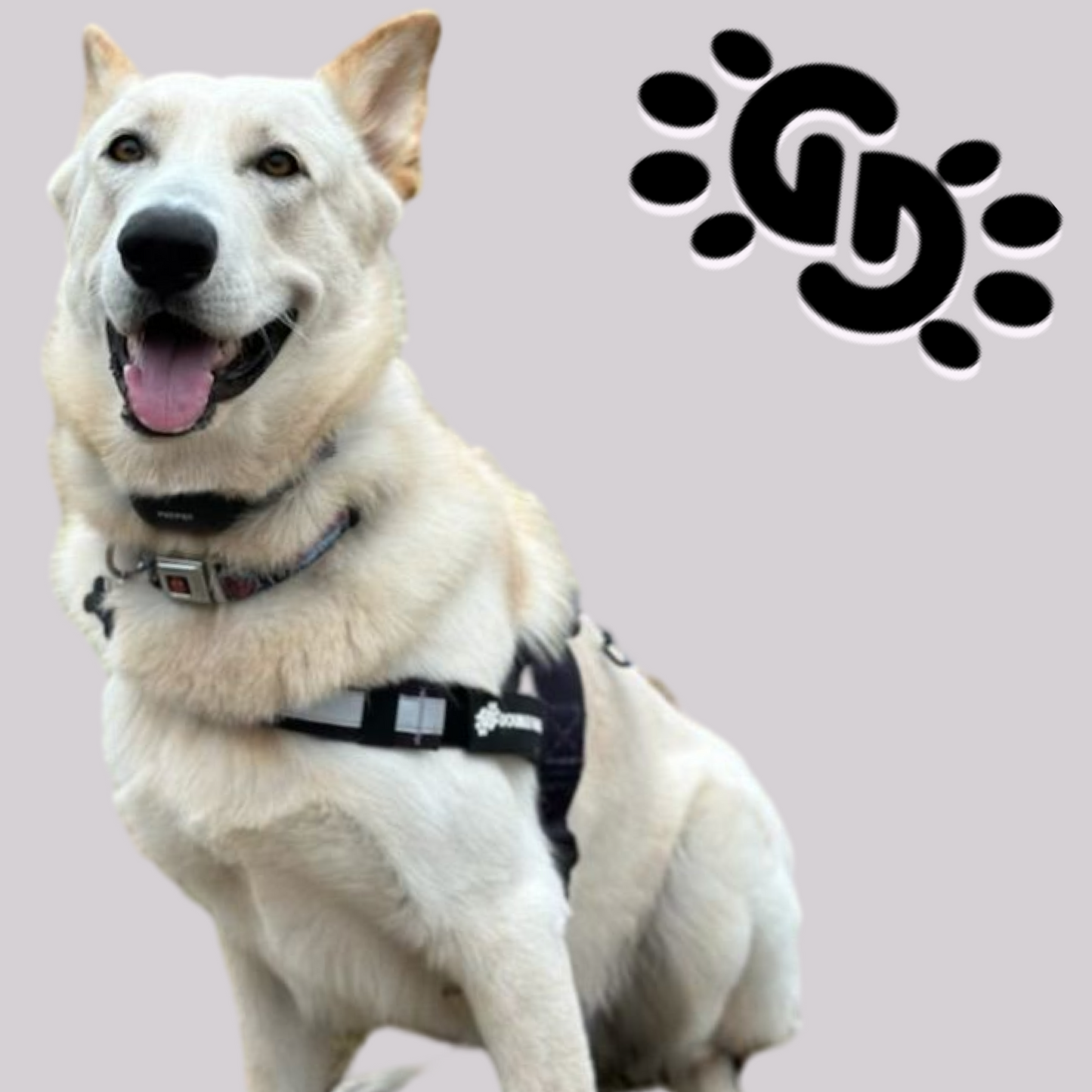 Muted Black - Double G Dog Gen I Harness - Double G Dog 