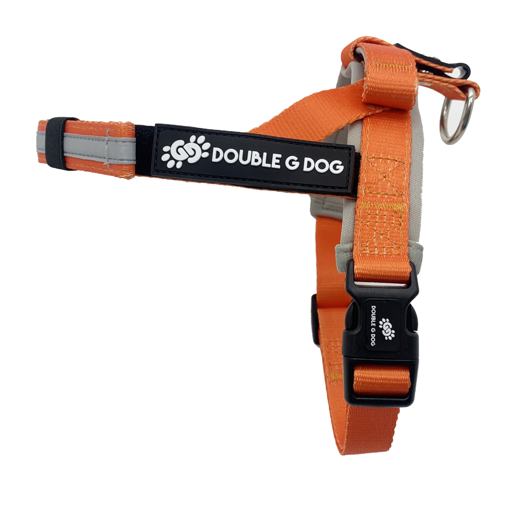 Happy Fall Orange - Double G Dog Gen I Harness