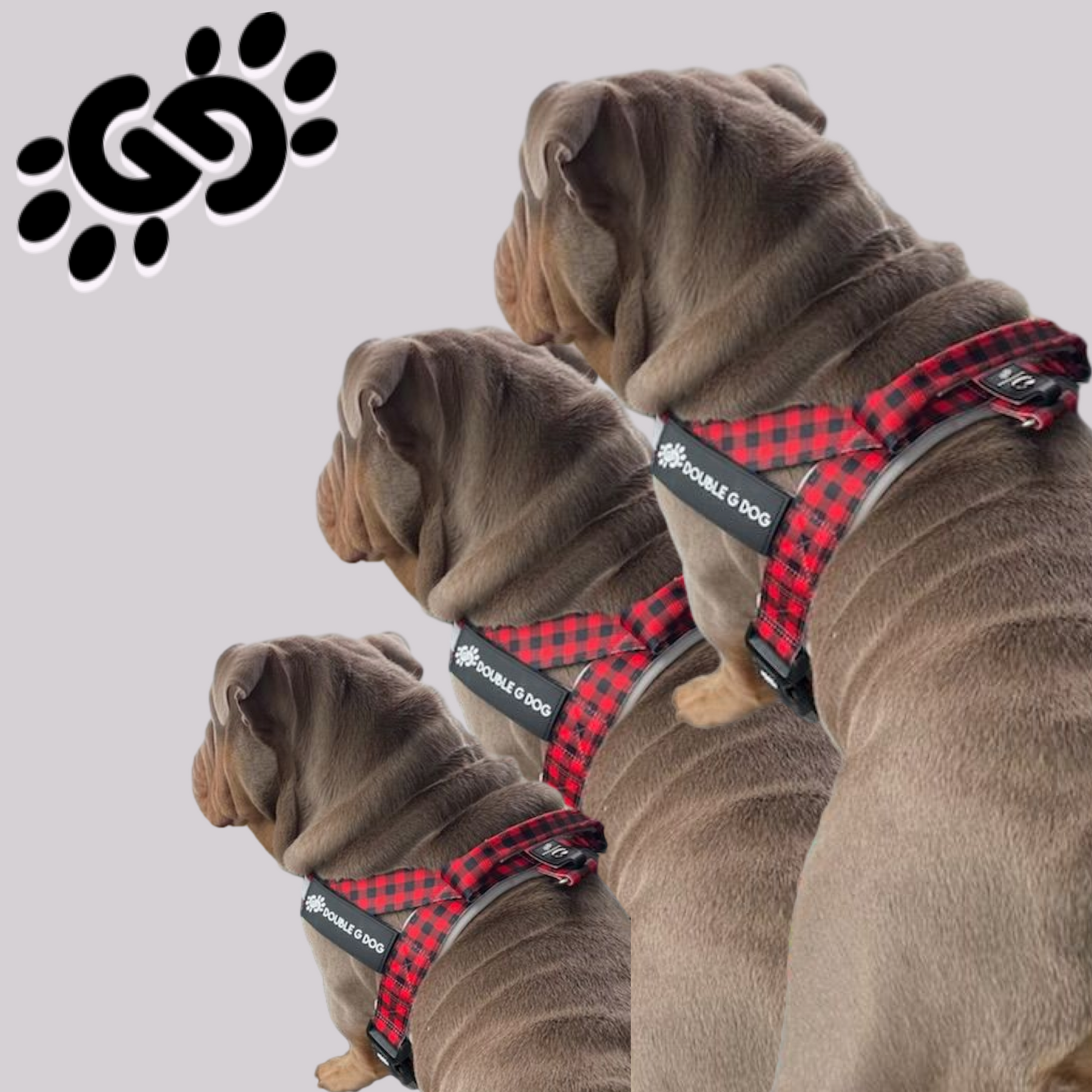 Lumberjack - Double G Dog Gen II Harness - Double G Dog 