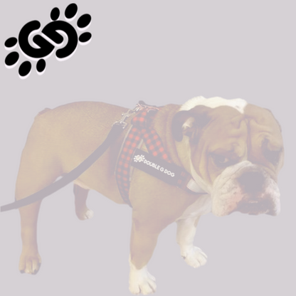 Lumberjack - Double G Dog Gen II Harness - Double G Dog 