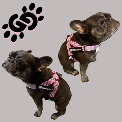 Sweetheart Pink - Double G Dog Gen II Harness - Double G Dog 